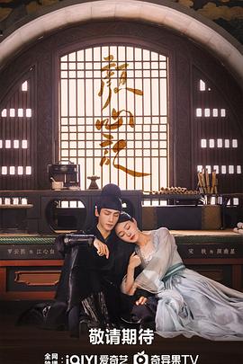 郑州seo优化排名代理